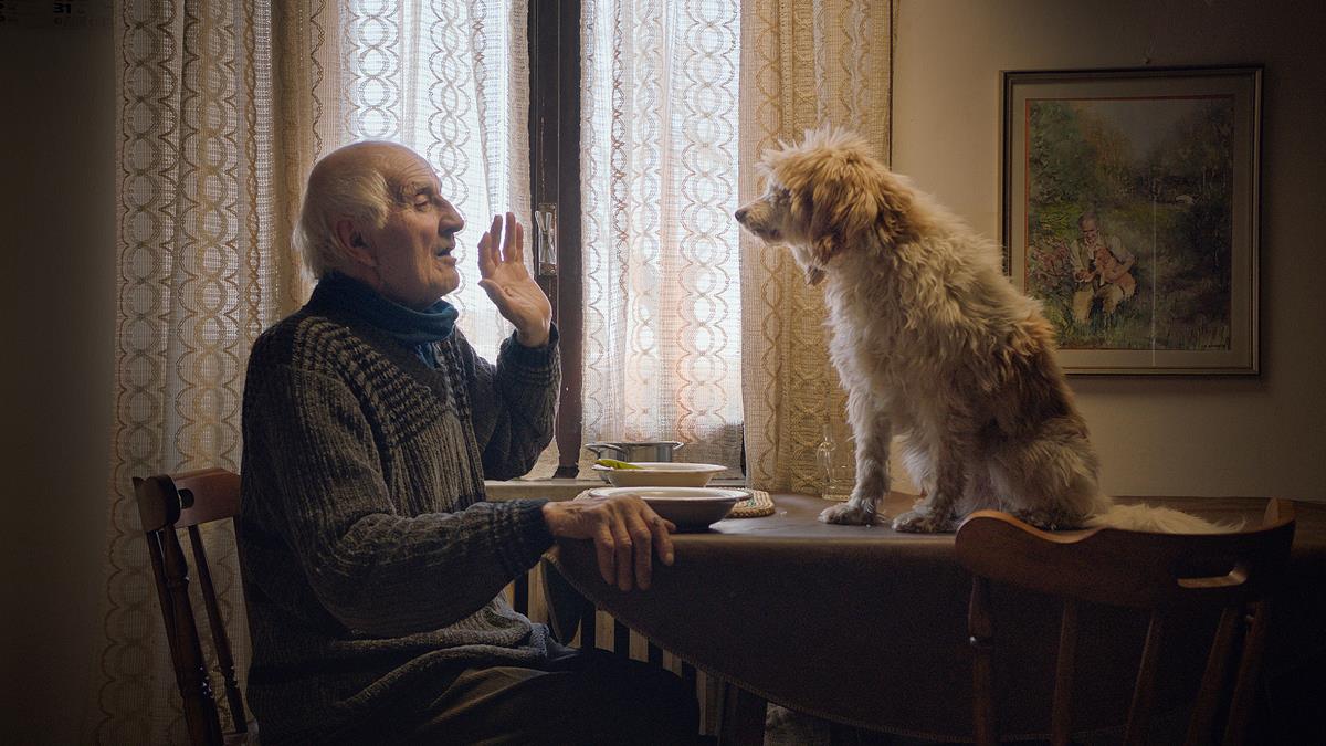 Aurelio Conterno with Birba in THE TRUFFLE HUNTERS. Cr: Michael Dweck and Gregory Kershaw/ Sony Pictures Classics