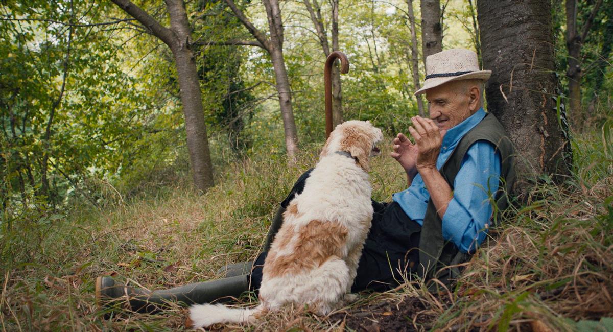 Birba with Aurelio Conterno in THE TRUFFLE HUNTERS. Cr: Michael Dweck and Gregory Kershaw/ Sony Pictures Classics