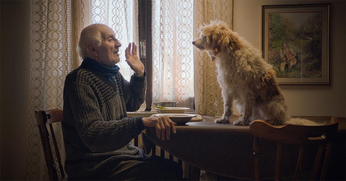 Aurelio Conterno with Birba in THE TRUFFLE HUNTERS. Cr: Michael Dweck and Gregory Kershaw/ Sony Pictures Classics